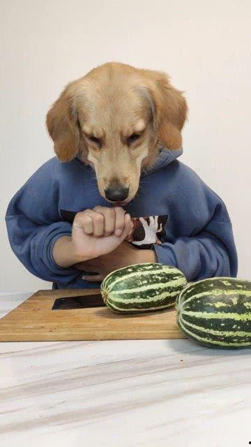 呱呱今日在线吃瓜,揭秘娱乐圈最新热点