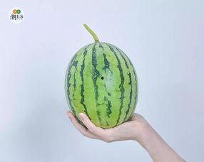 今日份西宁吃瓜,揭秘今日瓜界风云