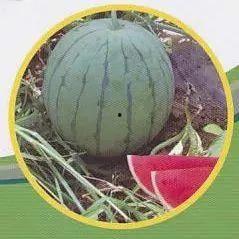 句容热门吃瓜事件,热门吃瓜事件背后的真相揭秘