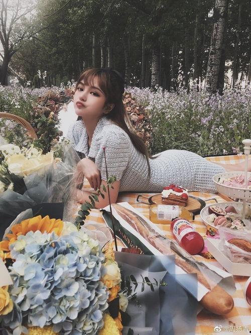 明星网红野餐,打造夏日野餐盛宴
