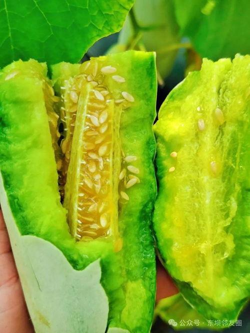 焦哥吃瓜爆料,揭秘娱乐圈幕后真相