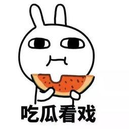 51热门吃瓜今日吃瓜反差婊,今日反差“婊”现象解析