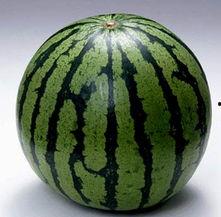 今日宜吃瓜完结,一场舌尖上的狂欢盛宴