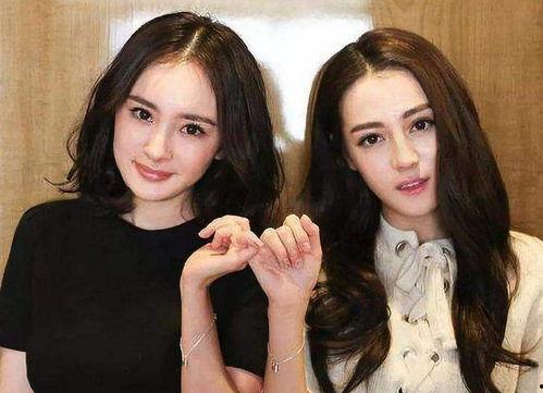 明星网红老大,明星光环下的商业帝国