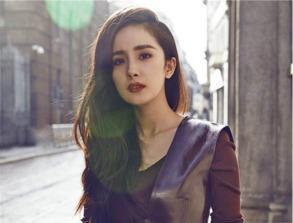 明星网红老大,明星光环下的商业帝国