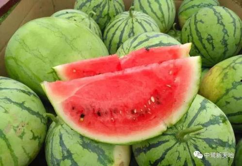 51cg最新吃瓜今日吃瓜,今日吃瓜大事件，带你领略娱乐圈风云变幻