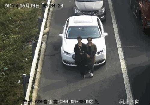 今日吃瓜女司机,吃瓜女司机引发热议，揭秘网络舆论背后的真相