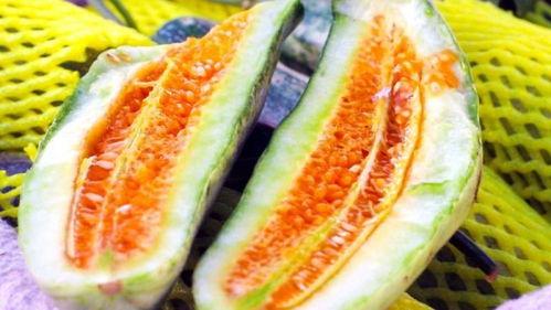 热门吃瓜免费观看,免费观看，一网打尽全网热点！