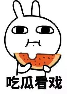 吃瓜群众看热门,热门事件背后的真相与观点