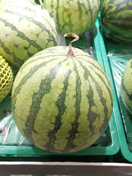 今日大瓜吃不停,娱乐圈风云再起，精彩瞬间盘点