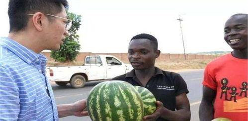 黑科吃瓜爆料,揭秘娱乐圈幕后真相