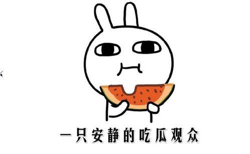 吃瓜和自黑,笑谈人生百态