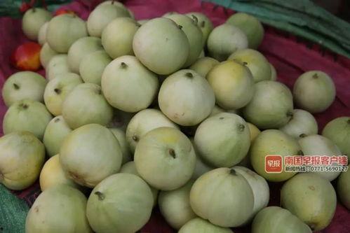 往年热门吃瓜事件