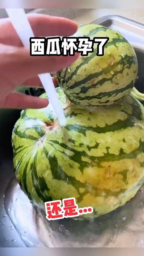 热门吃瓜搞笑视频,笑料百出！热门吃瓜搞笑视频大盘点