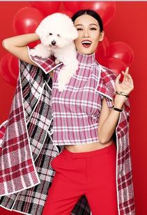 明星网红pk,谁是网络影响力之王？