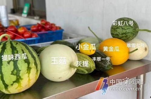 襄阳今日吃瓜新闻,揭秘街头热议焦点