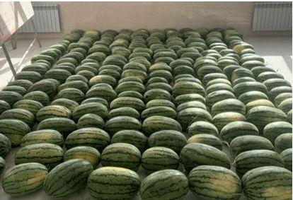 丽水今日吃瓜新闻,今日吃瓜新闻揭秘惊人内幕