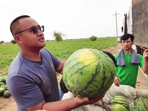 丽水今日吃瓜新闻,今日吃瓜新闻揭秘惊人内幕